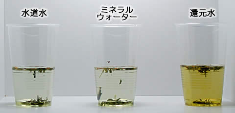電解還元水のお茶実験3