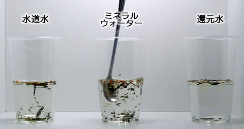 電解還元水のお茶実験１
